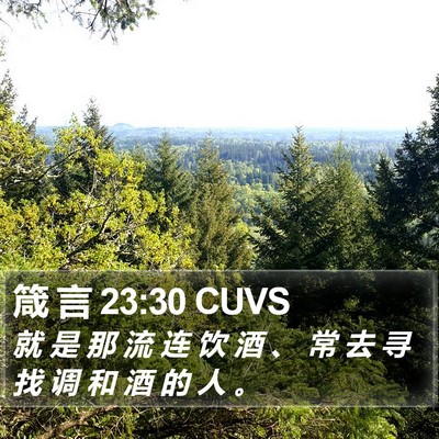箴 言 23:30 CUVS Bible Verse Image