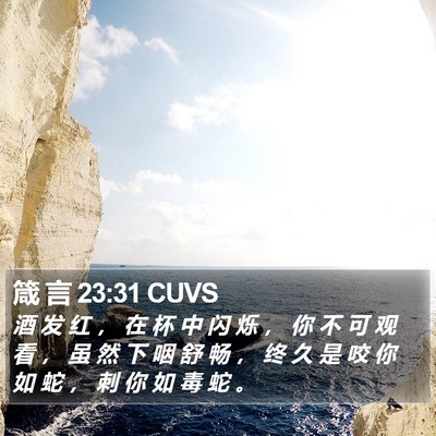箴 言 23:31 CUVS Bible Verse Image