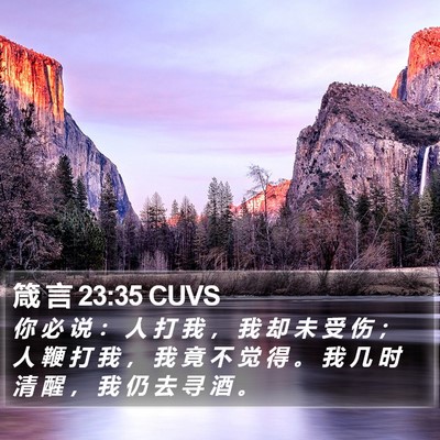 箴 言 23:35 CUVS Bible Verse Image