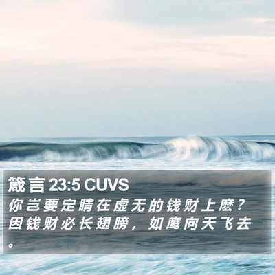 箴 言 23:5 CUVS Bible Verse Image