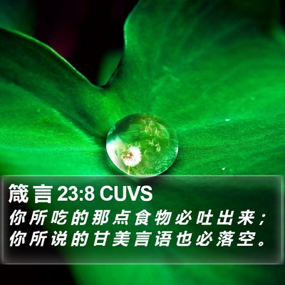 箴 言 23:8 CUVS Bible Verse Image