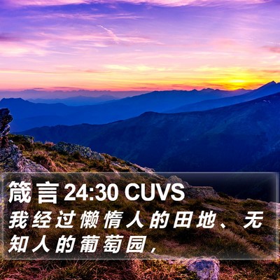 箴 言 24:30 CUVS Bible Verse Image