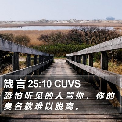 箴 言 25:10 CUVS Bible Verse Image