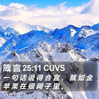 箴 言 25:11 CUVS Bible Verse Image