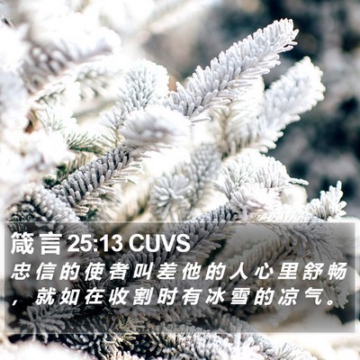 箴 言 25:13 CUVS Bible Verse Image