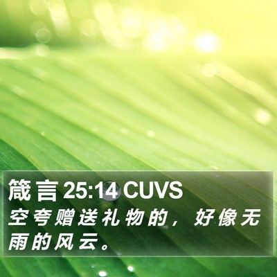 箴 言 25:14 CUVS Bible Verse Image