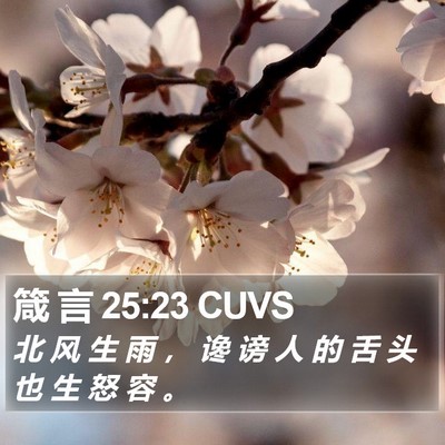 箴 言 25:23 CUVS Bible Verse Image