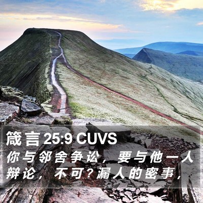 箴 言 25:9 CUVS Bible Verse Image