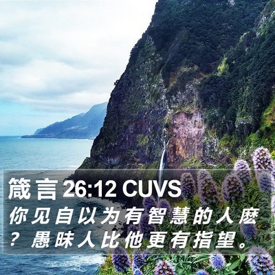 箴 言 26:12 CUVS Bible Verse Image