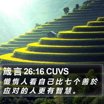 箴 言 26:16 CUVS Bible Verse Image