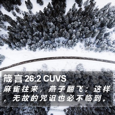 箴 言 26:2 CUVS Bible Verse Image