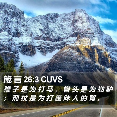 箴 言 26:3 CUVS Bible Verse Image