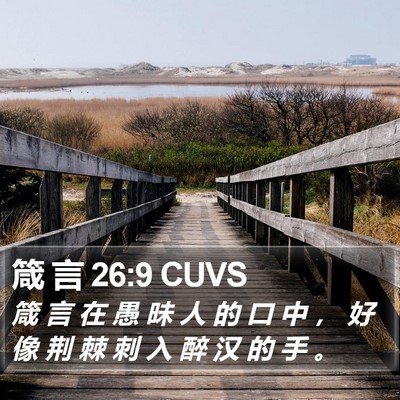 箴 言 26:9 CUVS Bible Verse Image