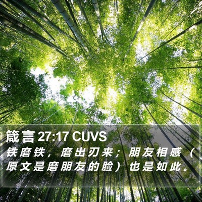 箴 言 27:17 CUVS Bible Verse Image