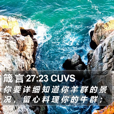 箴 言 27:23 CUVS Bible Verse Image