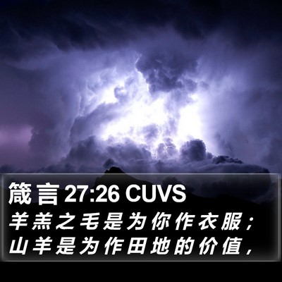 箴 言 27:26 CUVS Bible Verse Image