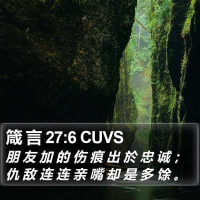 箴 言 27:6 CUVS Bible Verse Image