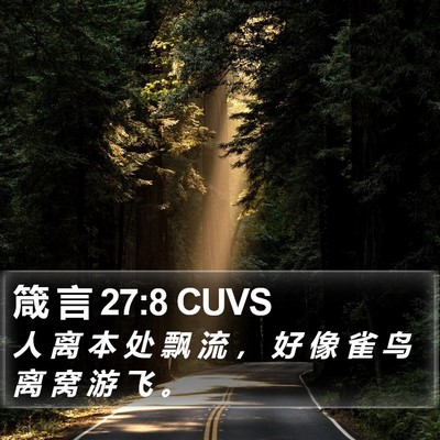 箴 言 27:8 CUVS Bible Verse Image