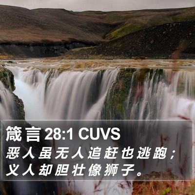 箴 言 28:1 CUVS Bible Verse Image