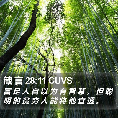 箴 言 28:11 CUVS Bible Verse Image