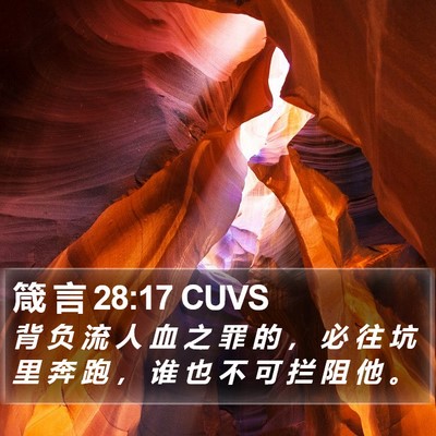 箴 言 28:17 CUVS Bible Verse Image
