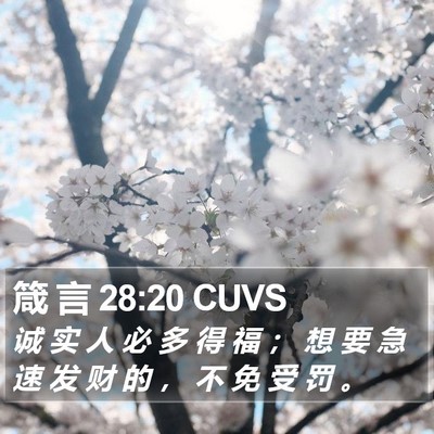箴 言 28:20 CUVS Bible Verse Image