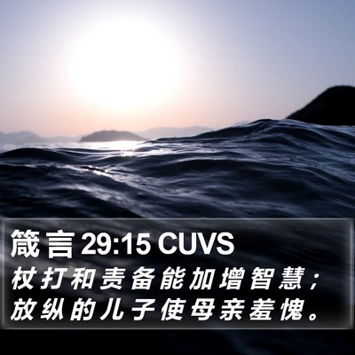 箴 言 29:15 CUVS Bible Verse Image
