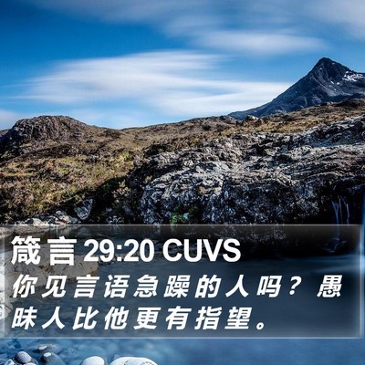 箴 言 29:20 CUVS Bible Verse Image