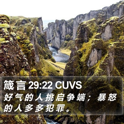 箴 言 29:22 CUVS Bible Verse Image