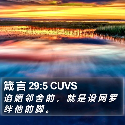 箴 言 29:5 CUVS Bible Verse Image