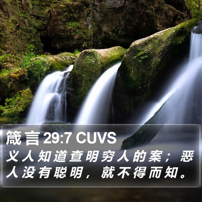 箴 言 29:7 CUVS Bible Verse Image