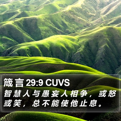 箴 言 29:9 CUVS Bible Verse Image