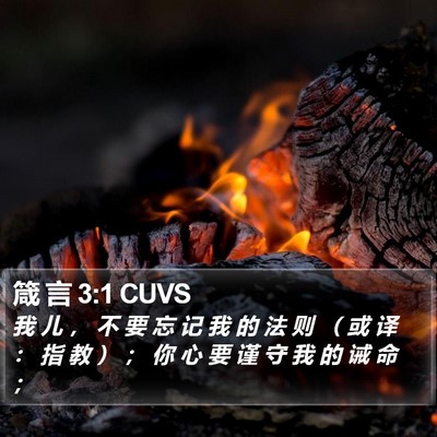 箴 言 3:1 CUVS Bible Verse Image