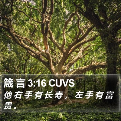 箴 言 3:16 CUVS Bible Verse Image