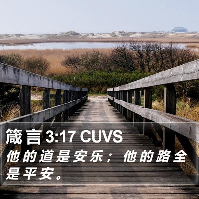 箴 言 3:17 CUVS Bible Verse Image
