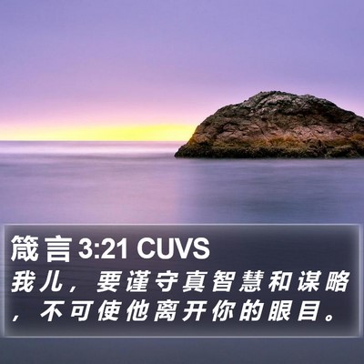 箴 言 3:21 CUVS Bible Verse Image