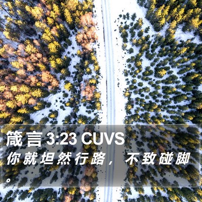 箴 言 3:23 CUVS Bible Verse Image