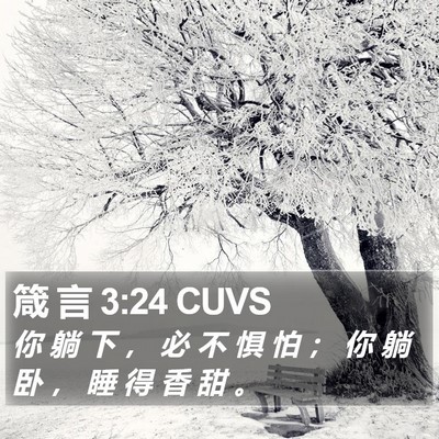 箴 言 3:24 CUVS Bible Verse Image