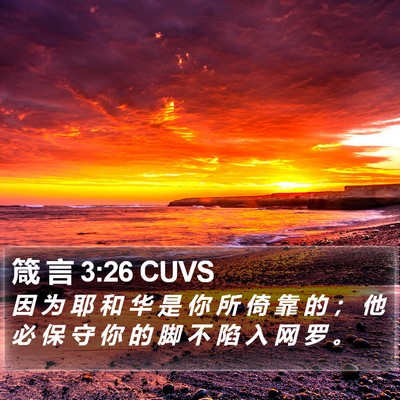 箴 言 3:26 CUVS Bible Verse Image
