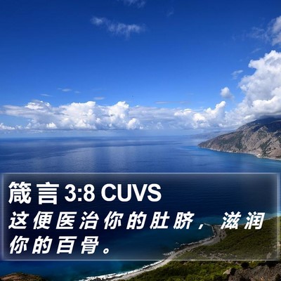 箴 言 3:8 CUVS Bible Verse Image