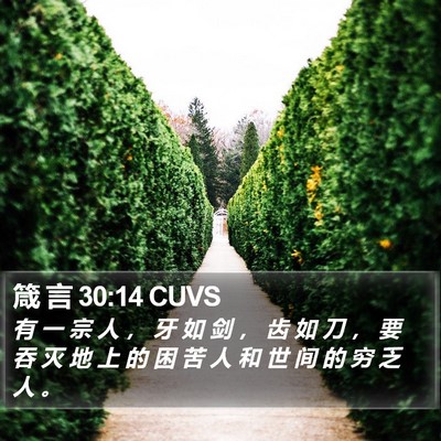 箴 言 30:14 CUVS Bible Verse Image