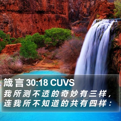 箴 言 30:18 CUVS Bible Verse Image