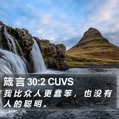 箴 言 30:2 CUVS Bible Verse Image