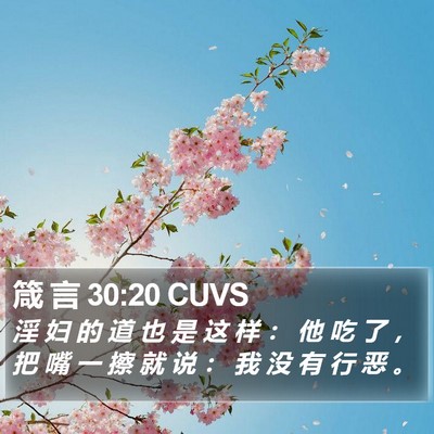 箴 言 30:20 CUVS Bible Verse Image