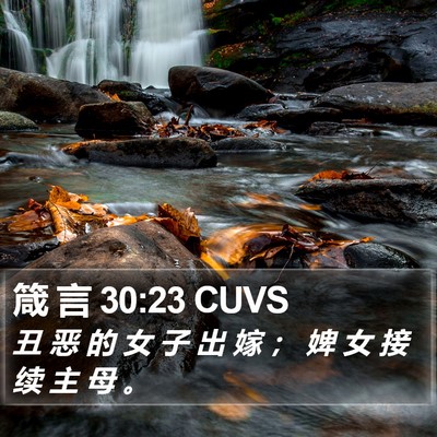 箴 言 30:23 CUVS Bible Verse Image