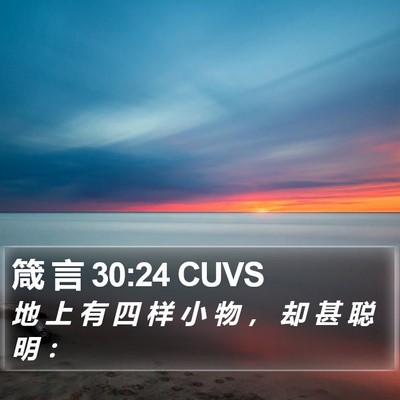 箴 言 30:24 CUVS Bible Verse Image
