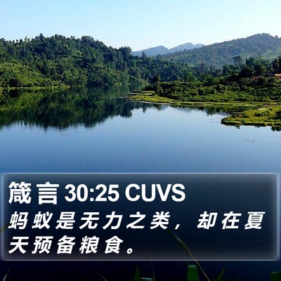 箴 言 30:25 CUVS Bible Verse Image