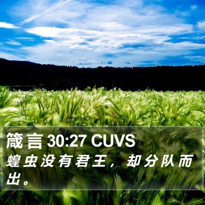 箴 言 30:27 CUVS Bible Verse Image