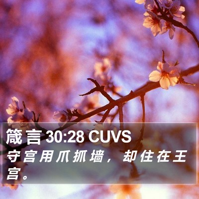 箴 言 30:28 CUVS Bible Verse Image