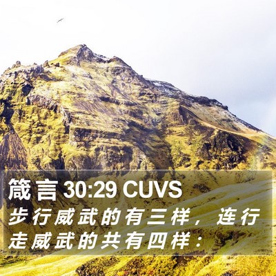箴 言 30:29 CUVS Bible Verse Image